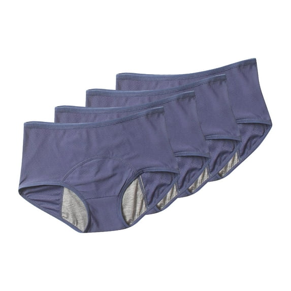 HWRETIE Plus Size Underwear for Women,Leakproof Ladies Underwear 4pc