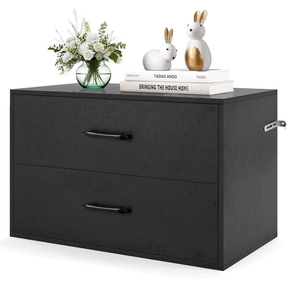 HWong 2 Drawers Storage Cabinets, Wooden Dresser Organizer, Under Desk Storage for Living Room, Bedroom, Home Office, Black