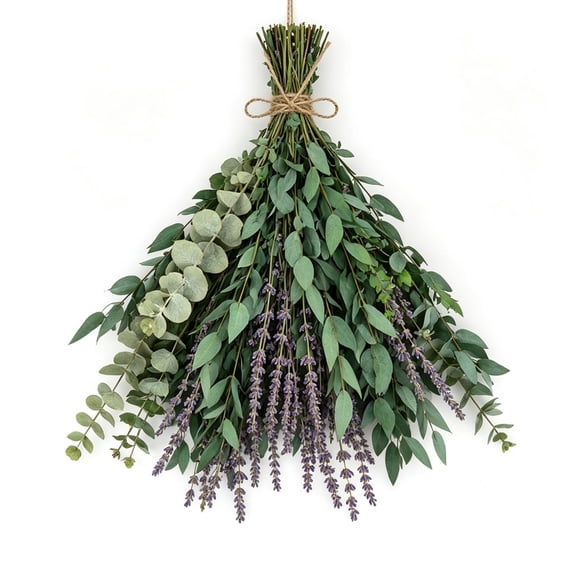 HXRH 16Pcs Dried Eucalyptus Bundle+40g Lavender Flowers Bundles for Shower 17 Inch Real Fresh Hanging Silver Dollar Leaves Farmhouse Arrangement & Table Centerpiece