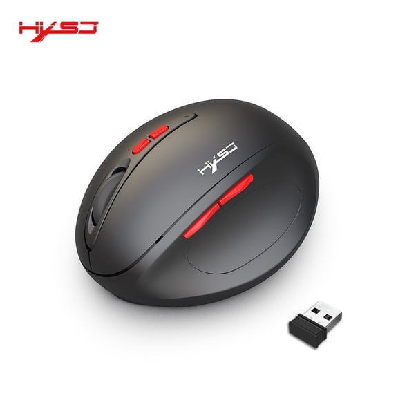 HXSJ T31 2.4G Wireless Ergonomic Design Optical Mouse For Laptop Game Player