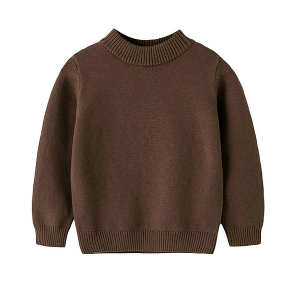 HXWCHs Boys' Crewneck Sweatshirt Soft Knit Daily Wear Fall Outfit 3-4 Years Brown