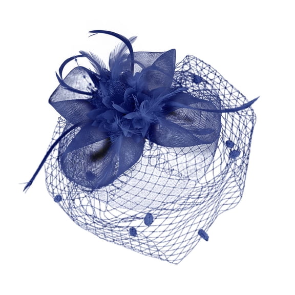 HXWCHs Women Fascinator Hats 20S 50S 80S Tea Party Wedding Pillbox Hat Mesh Flower with Hair Clip Blue