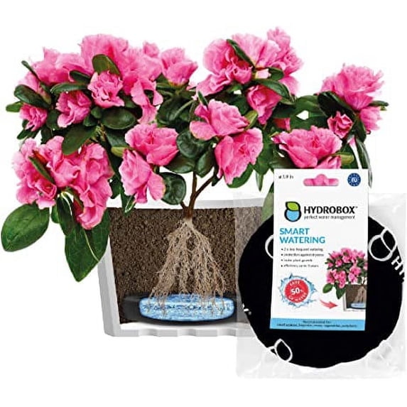 HYDROBOX, Smart Planter, 5.9'' Round, Self-Watering Feature - Walmart.com