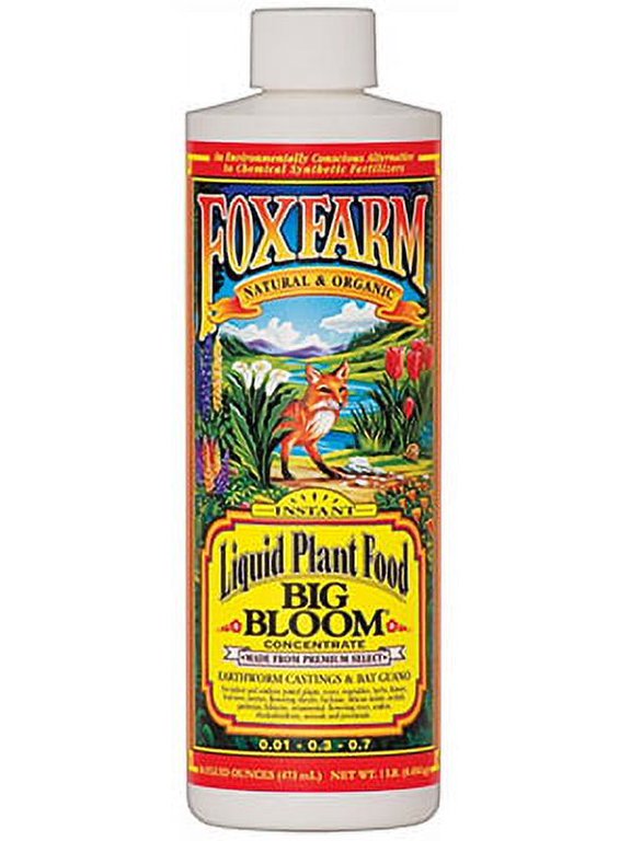 PT Big Bloom 1 Pack