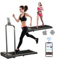 HYEASTR 3HP Folding Treadmill 2 in 1 Walking Pad Running Walking