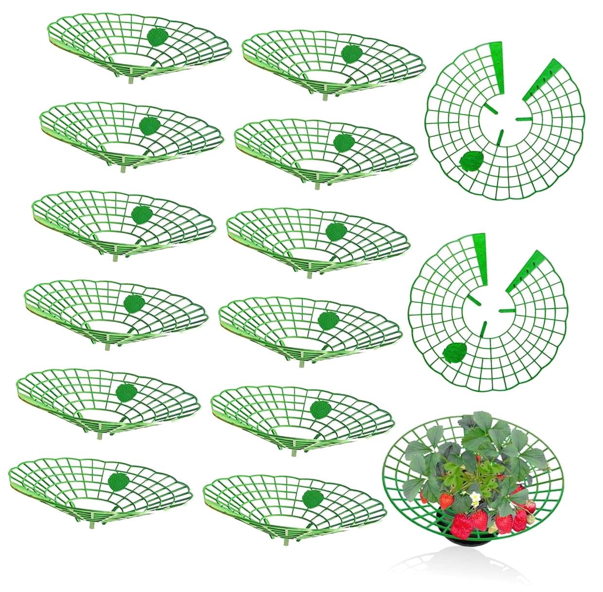 HYKE 15 PCS Strawberry Supports, Featuring a Strawberry Logo Design ...