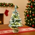 thumbnail image 1 of HYLLai 17.7Inch Flocked Tabletop Christmas Tree with LED Lights, Artificial Snowy Mini Xmas Tree for Desktop Window Walkway Indoor Holiday Party Decor (C), 1 of 6