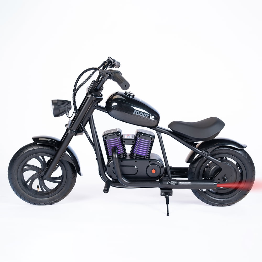 HYPER GOGO Electric Dirt Retro Bike Scout 12, 24V 160W Electric