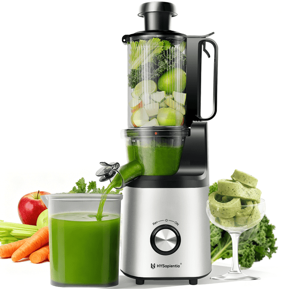 Open Box HYSapientia Cold Press Juicer Machines with Fruit Puree & Gelato Function,Slow Masticating Juicer for Fruits & Vegetables, 4-Inch Wide Chute, 1000ml Cup, Easy Clean