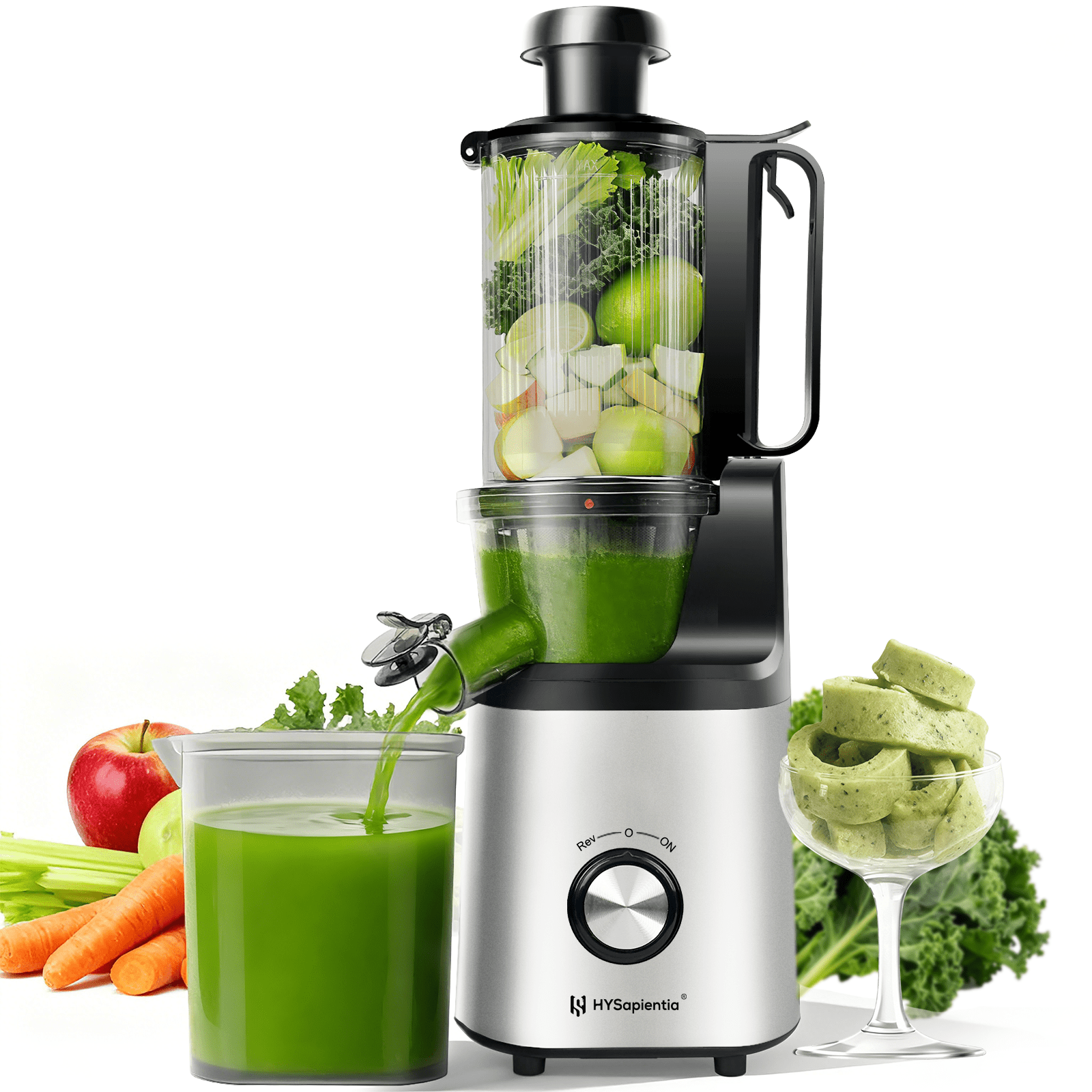 HYSapientia Cold Press Juicer Machines with Fruit Puree & Gelato Function,Slow Masticating Juicer for Fruits & Vegetables, 4-Inch Wide Chute, 1000ml Cup, Easy Clean