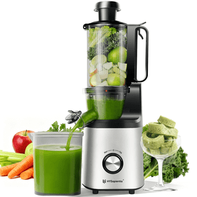HYSapientia Cold Press Juicer Machines with Fruit Puree & Gelato Function,Slow Masticating Juicer for Fruits & Vegetables, 4-Inch Wide Chute, 1000ml Cup, Easy Clean
