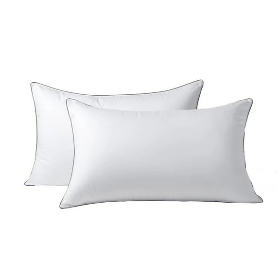 HYVIF Luxury Down Pillows ,White down pillow core, high fluffiness, clean pillow core, cushion, soft and comfortable pillow-1 Pack,King (20" x 36")