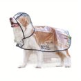 HYYANGUWENTI Big Transparent Outgoing Raincoat for Golden Hair Labrador