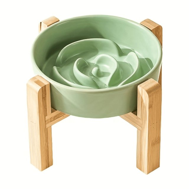 HYYGWHTY Ideal Elevated Ceramic Cat Bowl with AntiChoking Slow Feeder