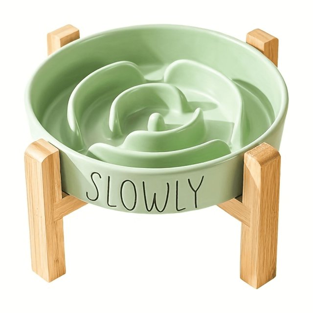 HYYGWHTY Ideal Elevated Ceramic Cat Bowl with AntiChoking Slow Feeder