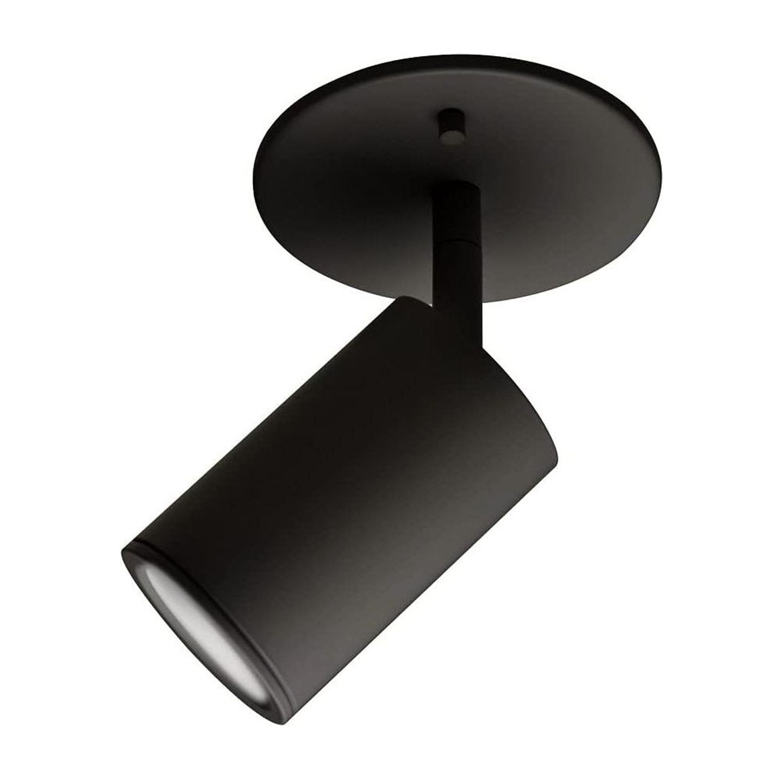 Barclay Black Powder-Coat Adjustable Spotlight