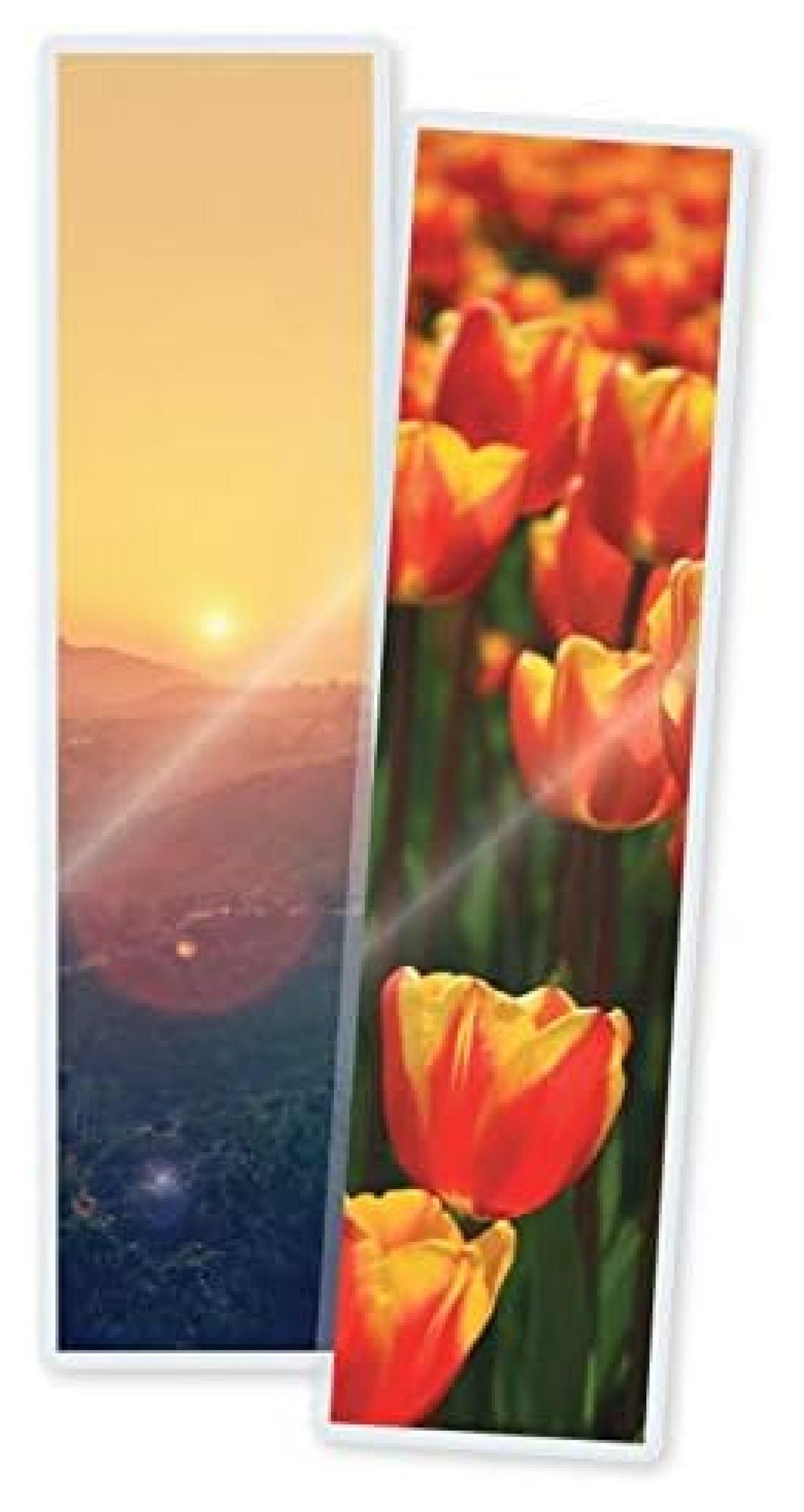 HYYYYH Laminating Pouches Bookmark Large Size 23/8Inch by 9Inch