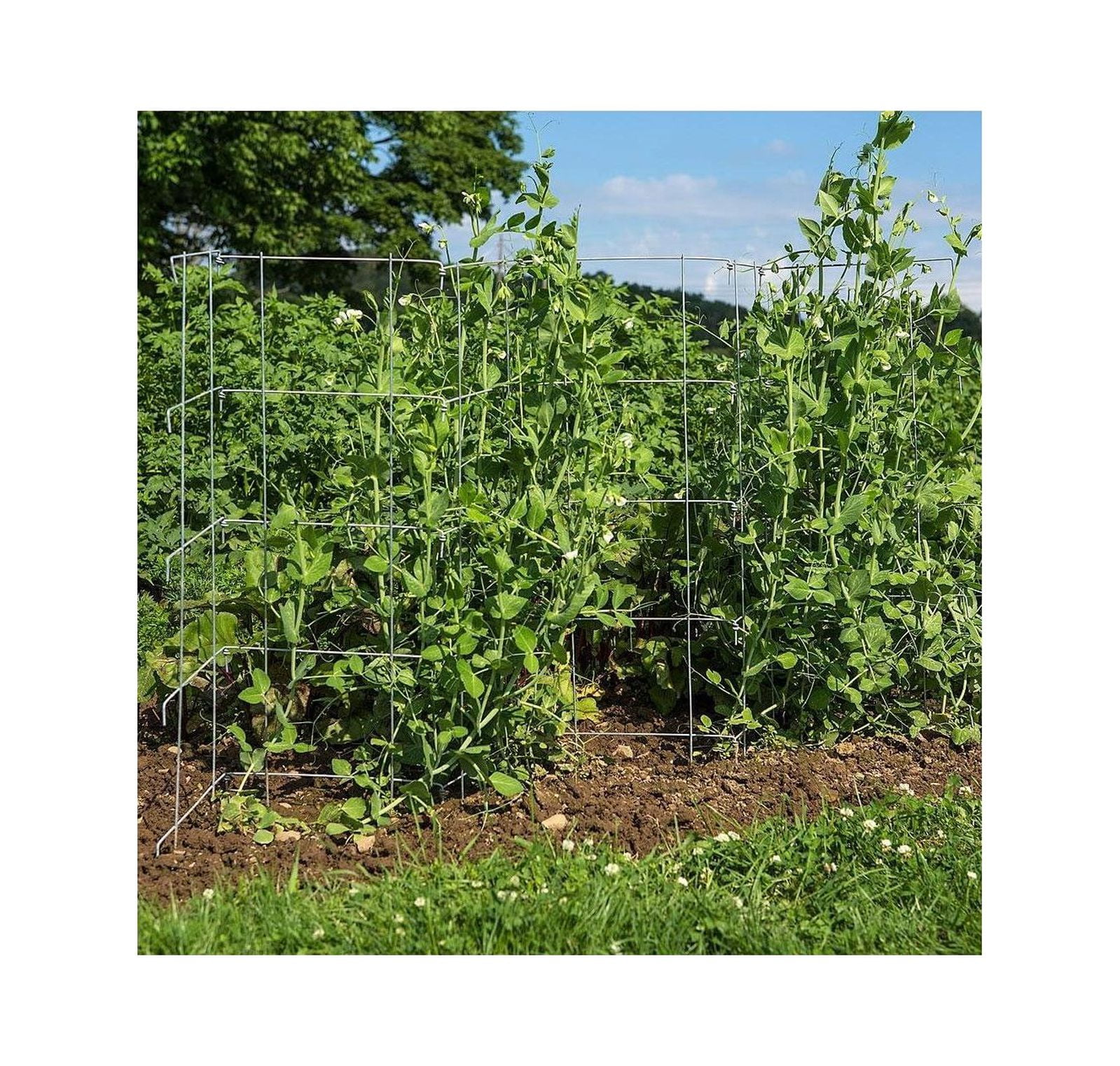 HYYYYH Pea Fence Straw Bale Garden Expandable Galvanized Steel 4080 inch High Set of 2