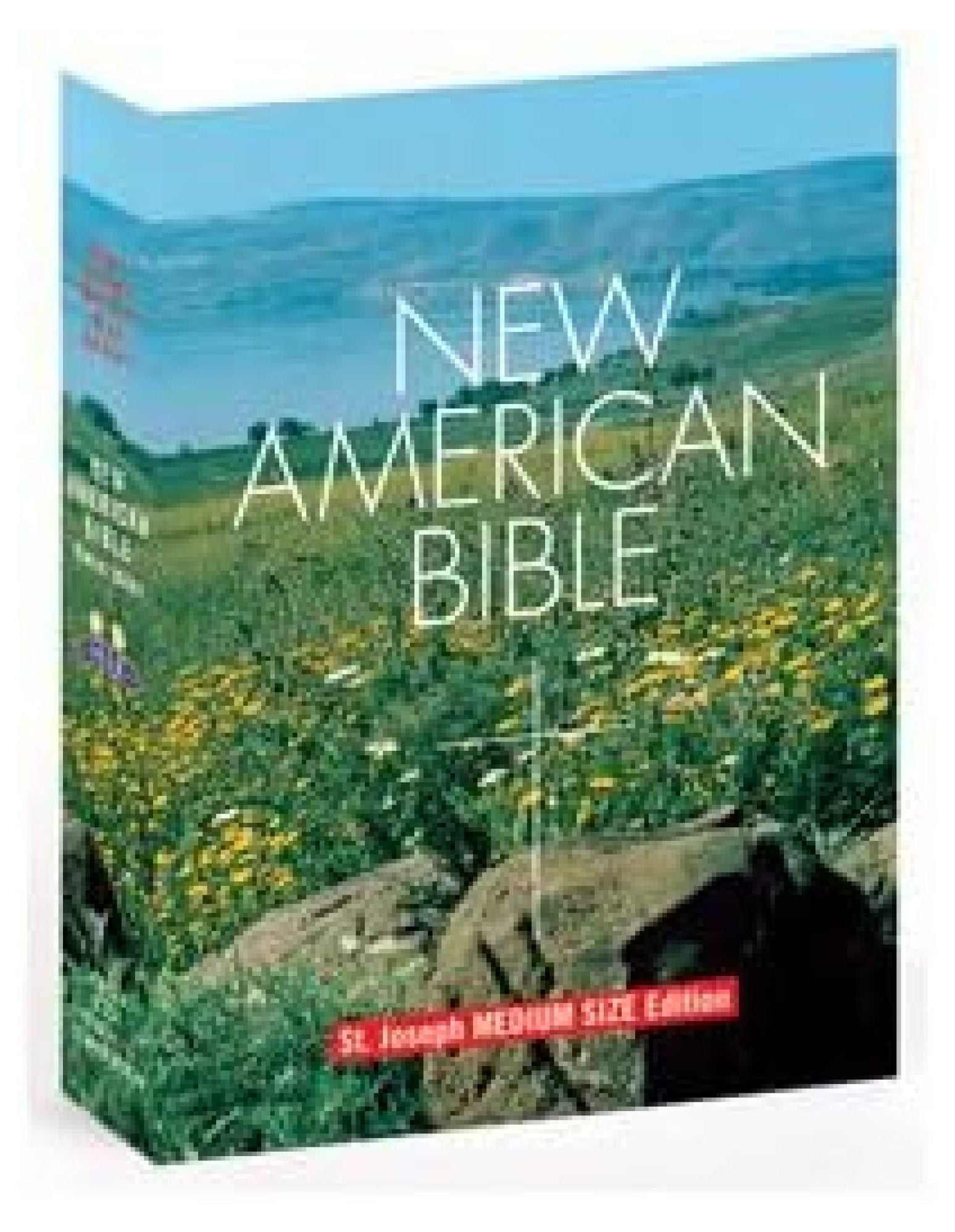 HYYYYH St. Joseph New American Bible - Student Edition - Walmart.com