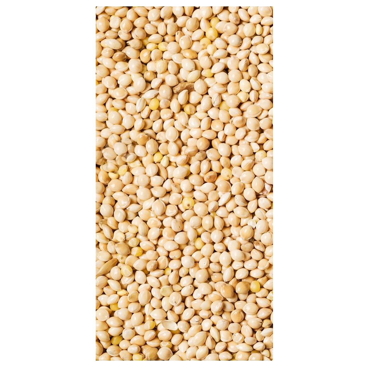 HYYYYH White Millet 50 lb Bag