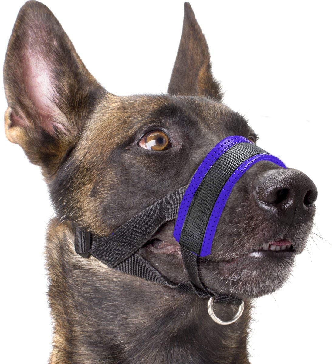 String muzzle outlet for dogs