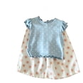 thumbnail image 1 of HZLBSE Ruffle Sleeve Wide Leg Casual Outfit Set 2-Piece (Little Girls), 1 of 5
