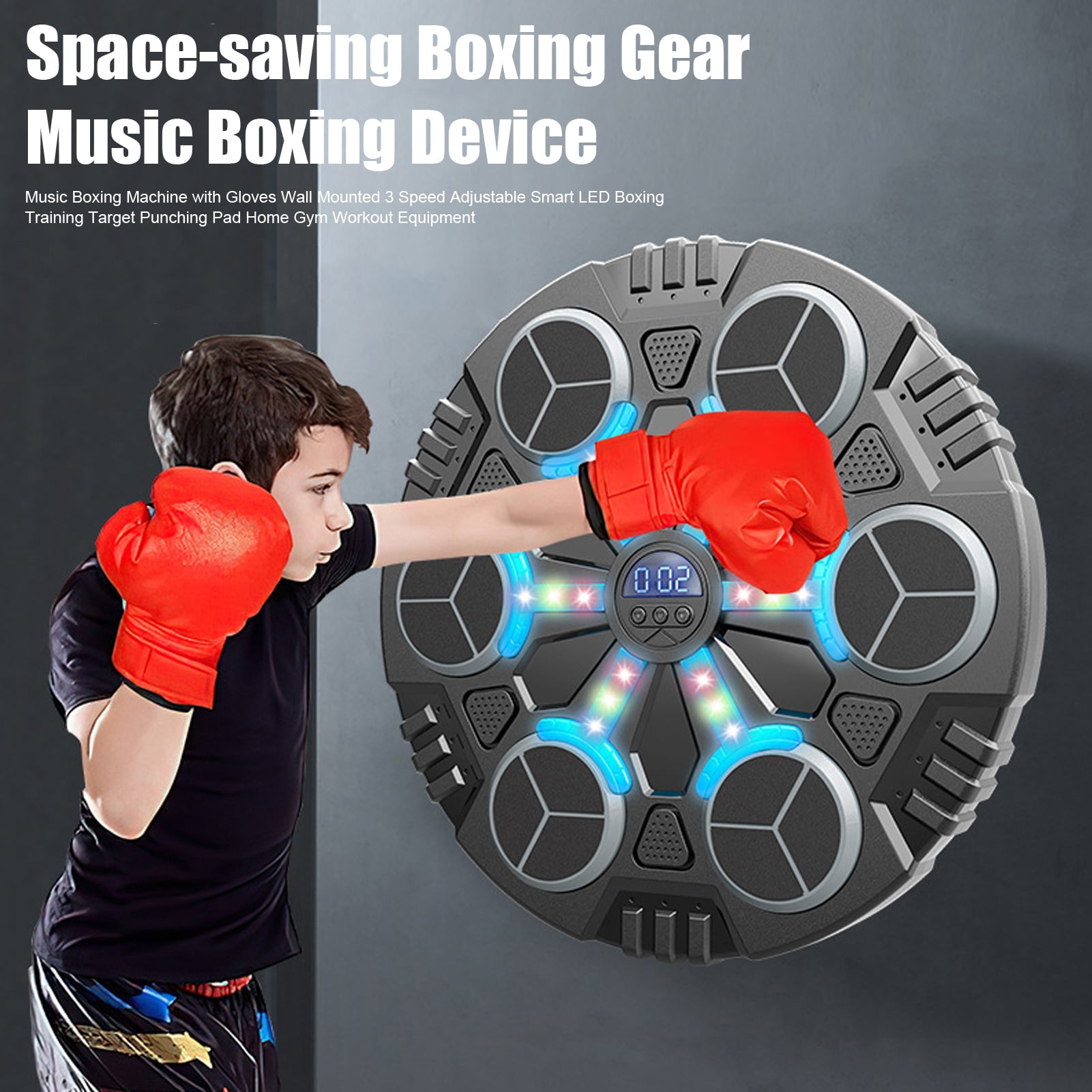 Wall Mounted Boxing Workout