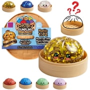 CQHVKQ 4" Golden Ticket Edition Dumpling Squishy Toy Mystery Box, Rare Golden Glitter Dumpling Squishy Bun, Stress Relief Sensory Dumpling Squishy Toys for Everyone Anxiety Relief