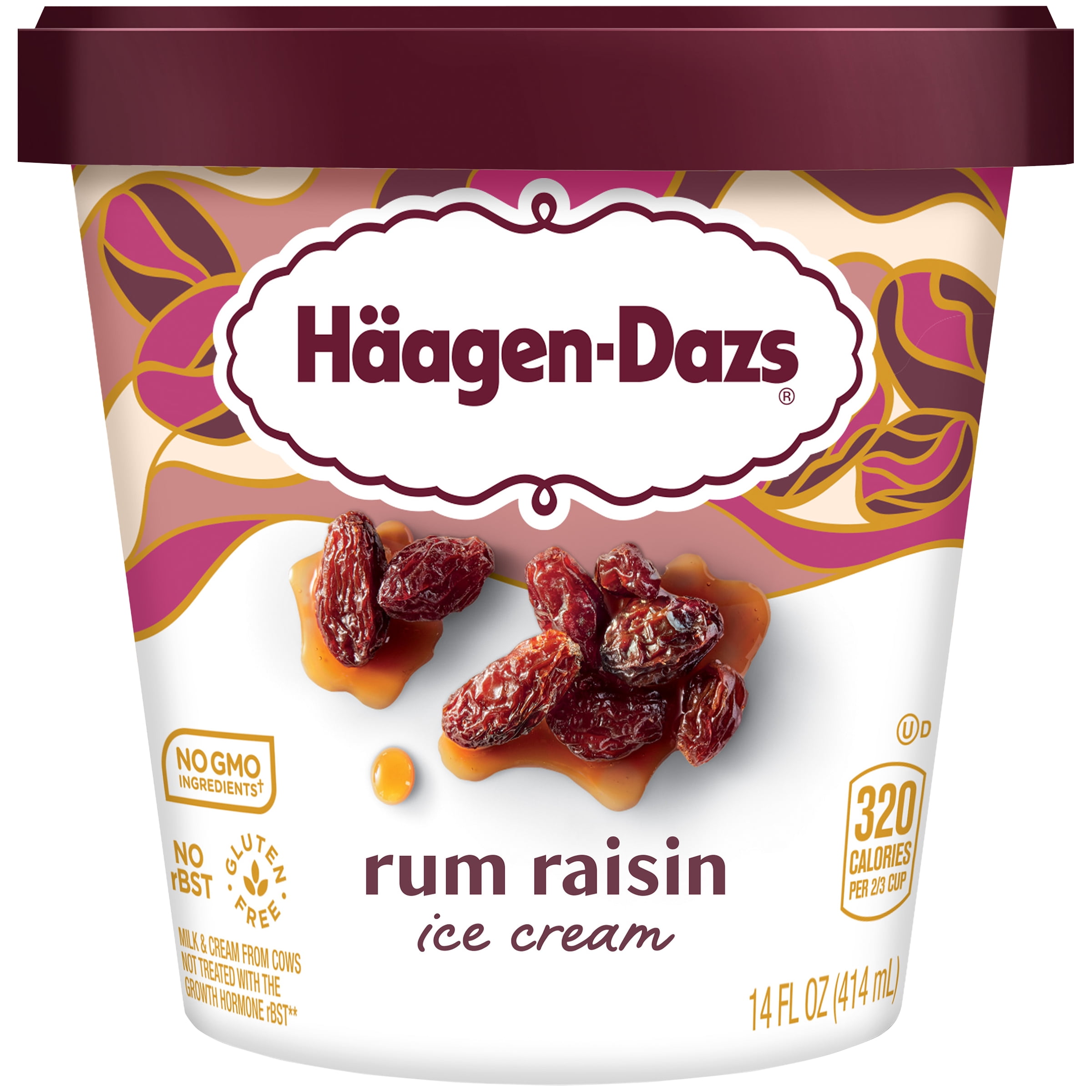 Haagen dazs rum raisin deals
