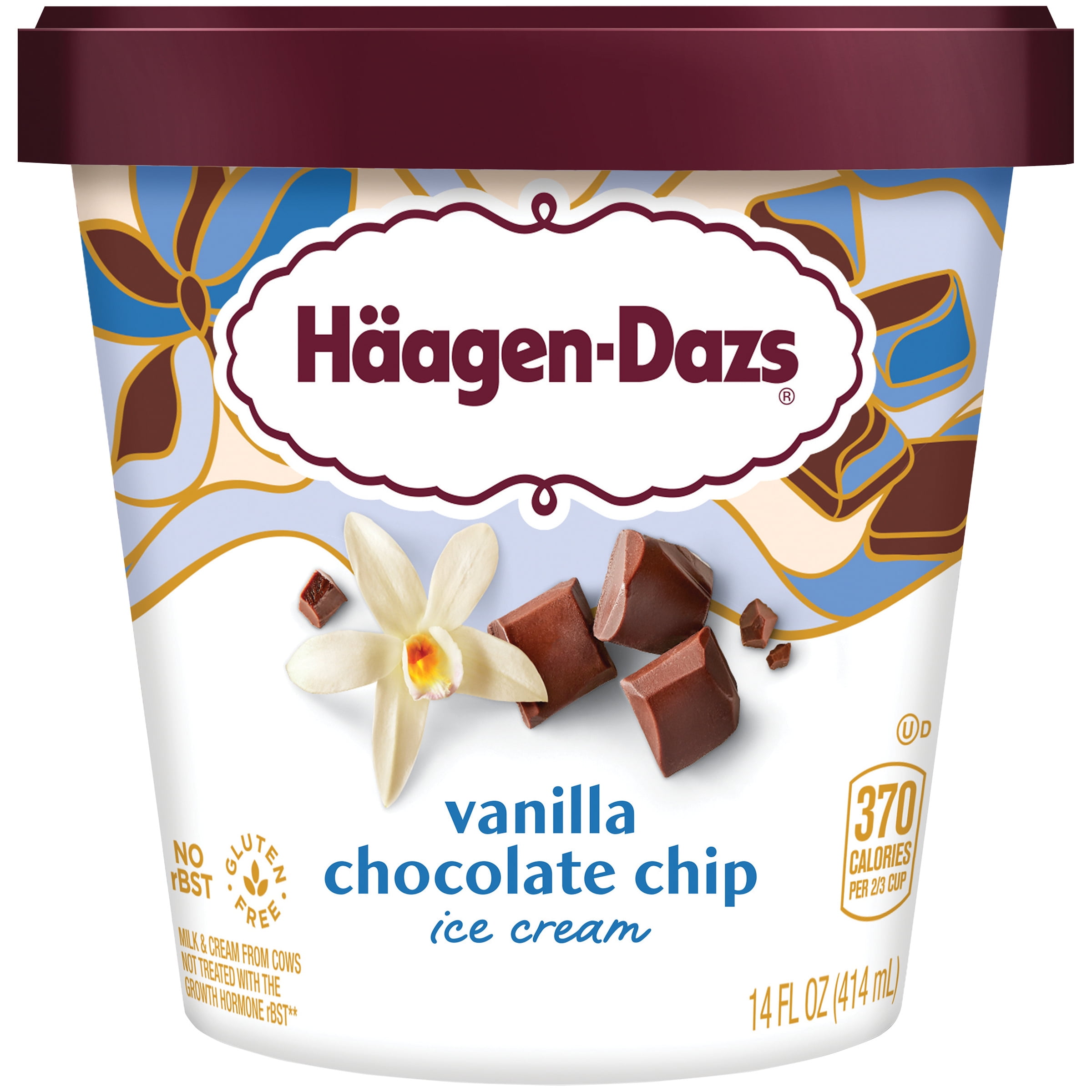 Haagen Dazs Vanilla Chocolate Chip