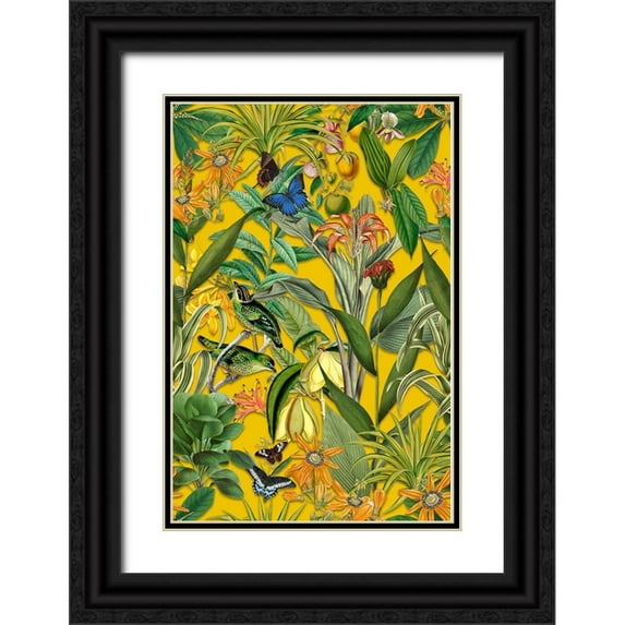 Haase, Andrea 11x14 Black Ornate Wood Framed with Double Matting Museum Art Print Titled - The Jungle of the Birds