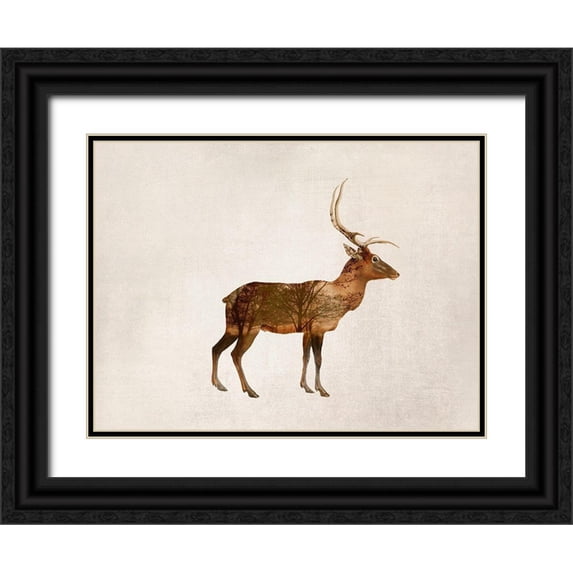 Haase, Andrea 18x15 Black Ornate Wood Framed with Double Matting Museum Art Print Titled - Wild Deer
