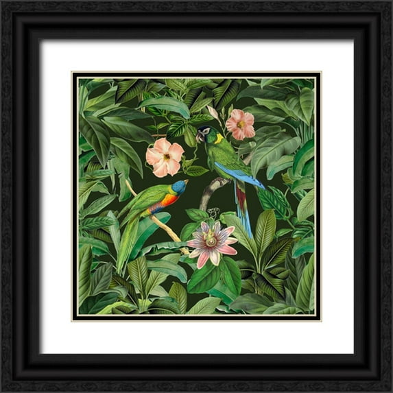 Haase, Andrea 26x26 Black Ornate Wood Framed with Double Matting Museum Art Print Titled - Exotic Paradise Jungle Birds