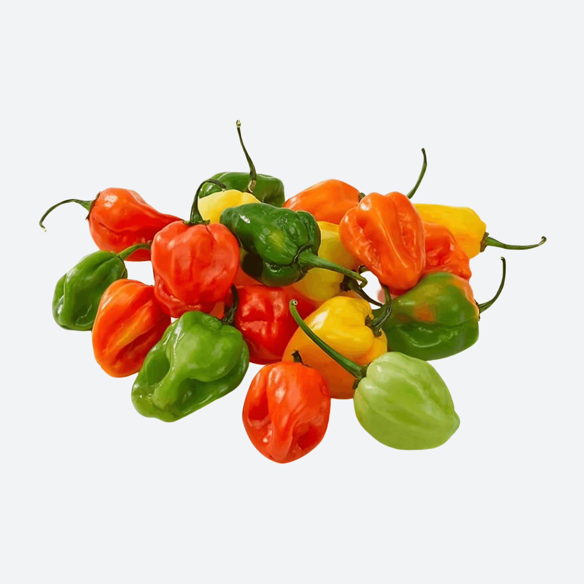 Habanero Peppers