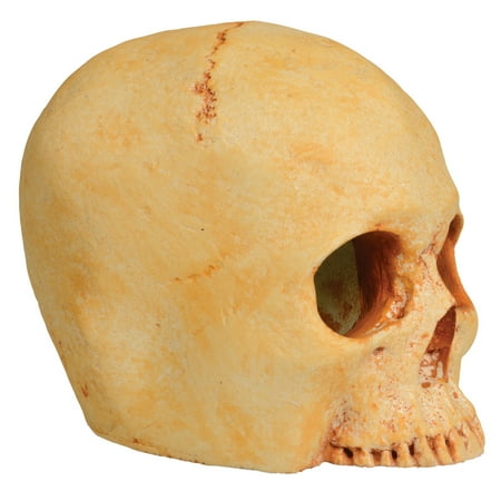 Habi-Scape Skull Cave Aged Terrarium Habitat Decor