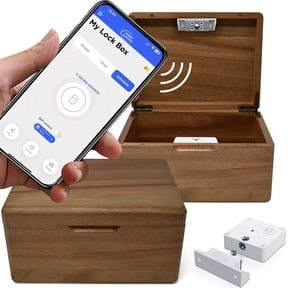 Timer Lock Box