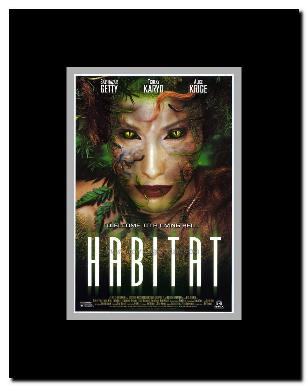 Habitat Framed Movie Poster