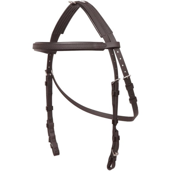 Hackamore Bridle