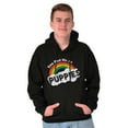 thumbnail image 1 of Had Me At Puppies Funny Rainbow Dog Unisex Plus Fleece Graphic Hoodie Brisco Brands 2X, 1 of 5
