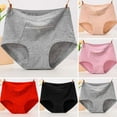 thumbnail image 1 of Hadanceo Women Underwear Anti-theft Zipper Pocket High Waist Seamless Stretch Breathable Cotton Middle-aged Mom Grandma Brief Panties Underpants Skin, 1 of 8