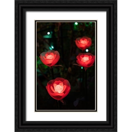 Haddad, Sheila 17x24 Black Ornate Wood Framed with Double Matting Museum Art Print Titled - Illuminated red roses of the Ashikaga Flower park-Japan-at night in winter