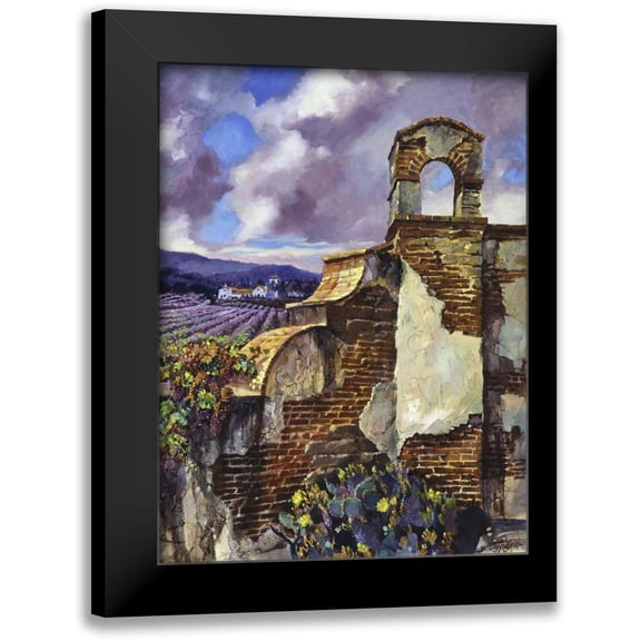 Hadfield, Clif 12x14 Black Modern Framed Museum Art Print Titled - Mission Vineyard