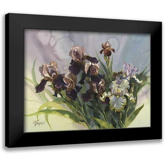 Hadfield, Clif 14x12 Black Modern Framed Museum Art Print Titled - Hadfield Irises IV
