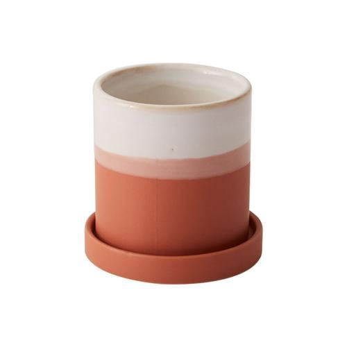 Hadley Terracotta Pot - Live Air-Purifying Indoor Plant in Nursery Pot – Easy Care, Low Maintenance Houseplant for Home & Office Decor, Natural Air Cleaner, Best for Beginners