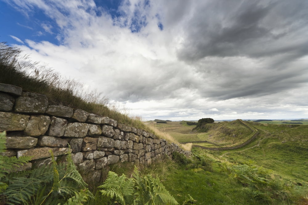 Hadrians Wall Northumberland England Canvas Art - John Short Design Pics (38 x 24)