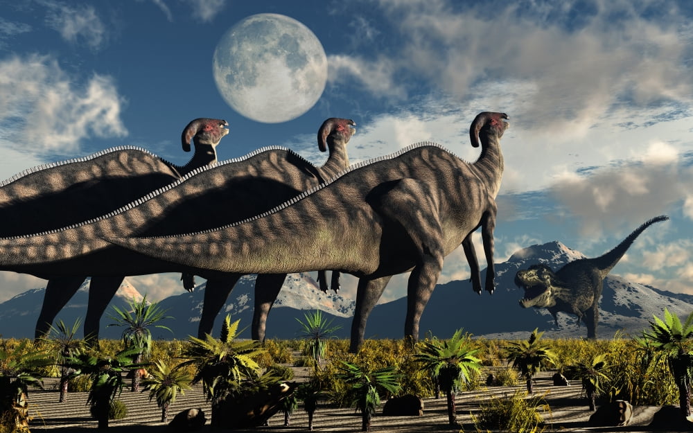 Hadrosaurid duckbill dinosaurs use soundwaves to defend a Tyrannosaurus Rex Canvas Art - Mark StevensonStocktrek Images (18 x 12)