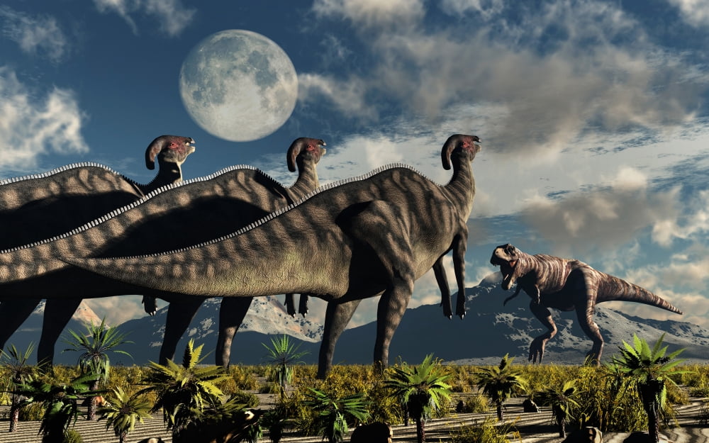 Hadrosaurid duckbill dinosaurs use soundwaves to defend a Tyrannosaurus Rex Canvas Art - Mark StevensonStocktrek Images (36 x 23)