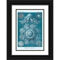 thumbnail image 1 of Haeckel, Ernst 13x18 Black Ornate Wood Framed with Double Matting Museum Art Print Titled - Haeckel Nature Illustrations: Jelly Fish - Blue-Green Tint, 1 of 4