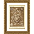 thumbnail image 1 of Haeckel, Ernst 13x18 Gold Ornate Wood Framed with Double Matting Museum Art Print Titled - Haeckel Nature Illustrations: Jelly Fish - Sepia Tint, 1 of 4