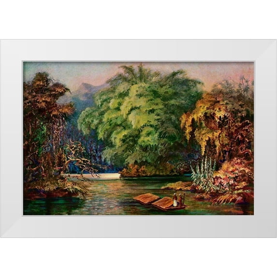 Haeckel, Ernst 14x11 White Modern Wood Framed Museum Art Print Titled - Riesenbambus von Ceylon Fahrt auf dem Schwarzen Fluss Kalu Ganga